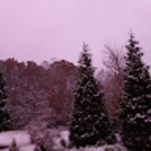 Meet your Posher, Sheridan